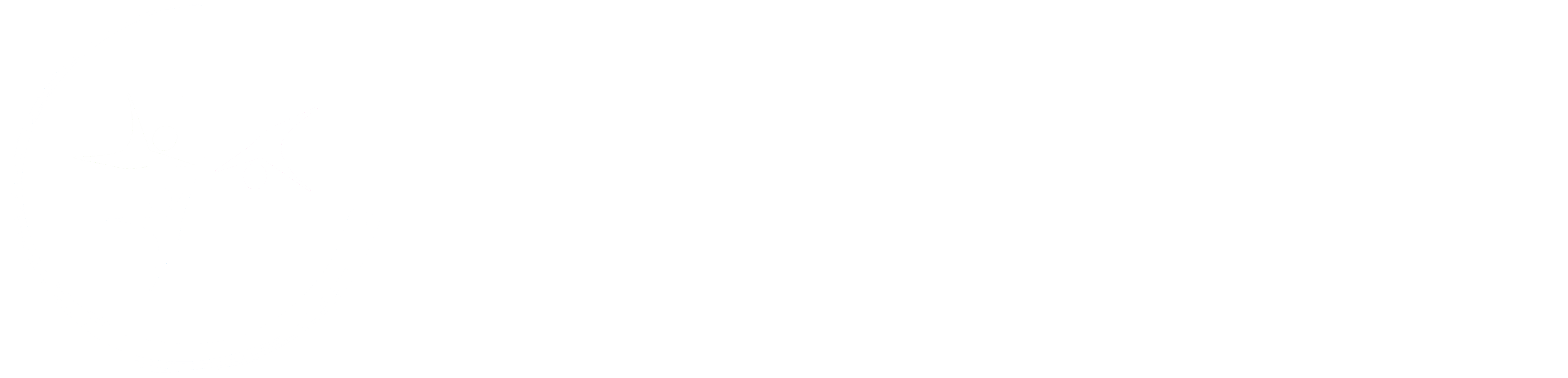 xxi.online - Global Goals Network